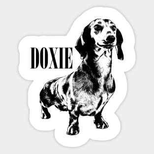 Dachshund dog  - Doxie Sticker